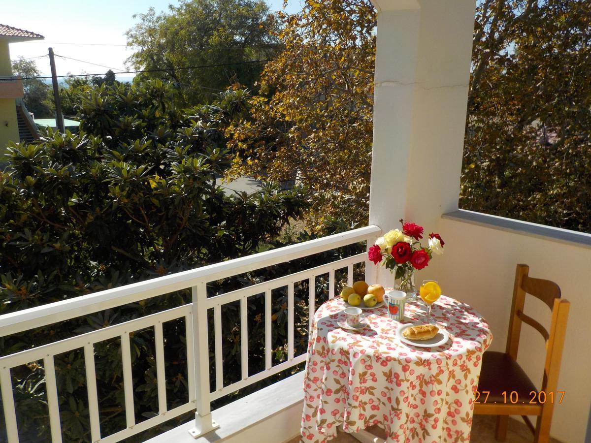 Estelle Hotel Gerakini Ngoại thất bức ảnh